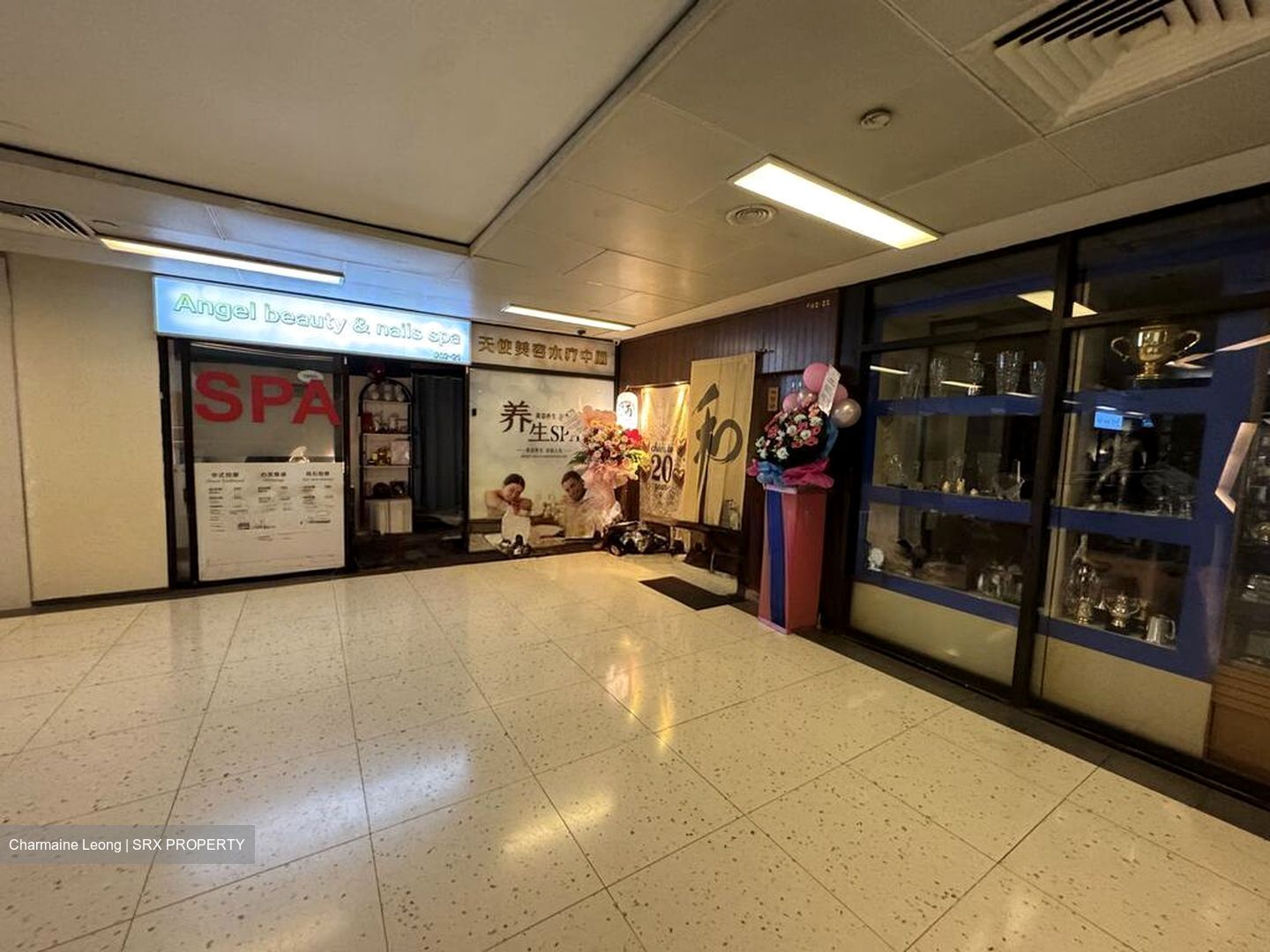 Cuppage Plaza (D9), Shop House #509570541